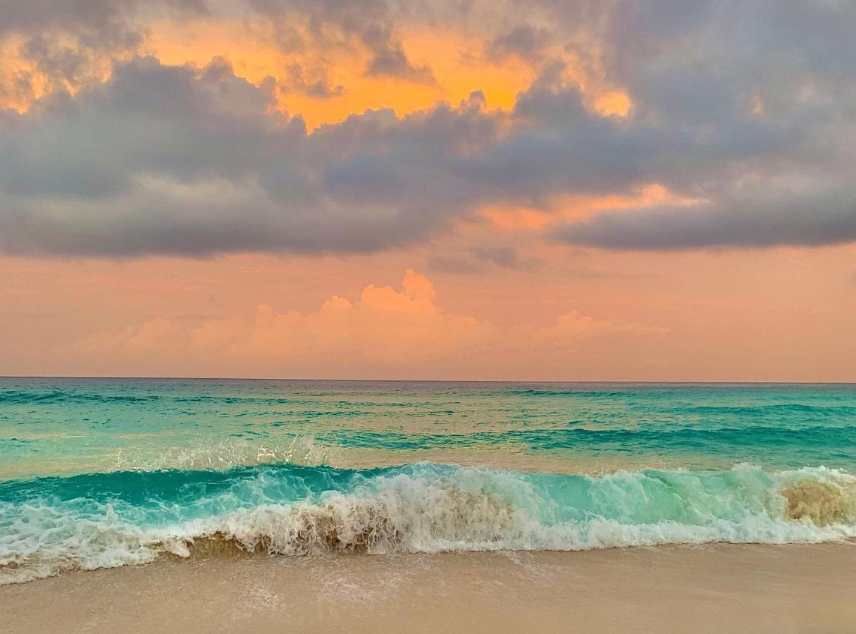 Preciosos Estudio Vista Al Mar O Jardin Cancún Eksteriør billede